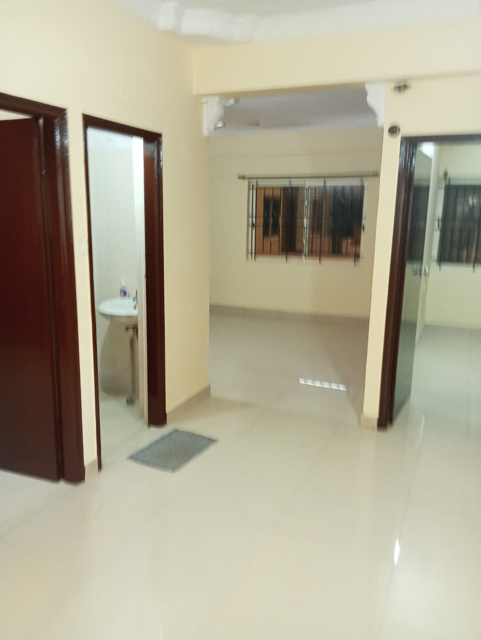 2BHK for Sale in Hongasandra